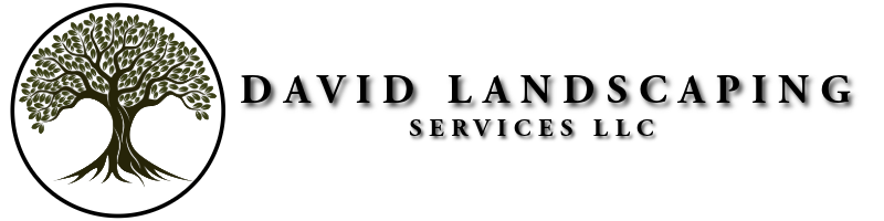 David Landscaping Services Llc