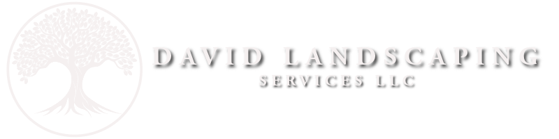 David Landscaping Services Llc